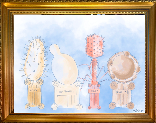 Microbiome Rogues Gallery